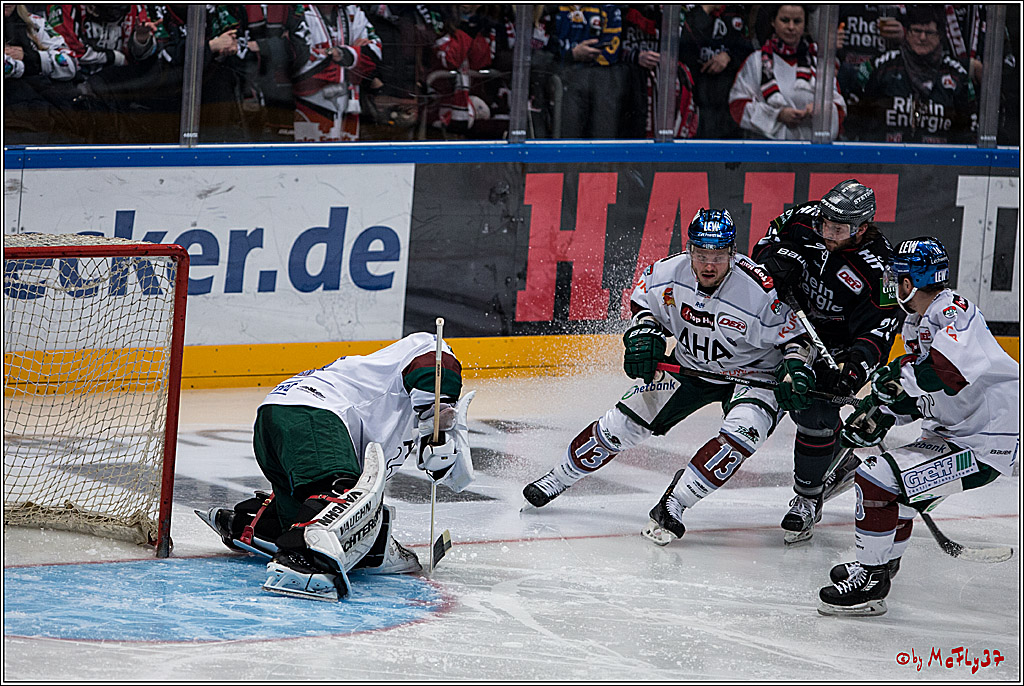 DEL, Koelner Haie - Augsburger Panther, 13.01.2017